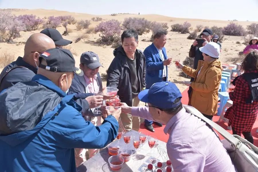 大漠桃花格外红 文艺服务处处春—阿拉善盟文联 阿拉善盟诗词学会组织艺术家赴孪井滩生态移民示范区开展“三下乡”文艺志愿服务采风活动 第10张