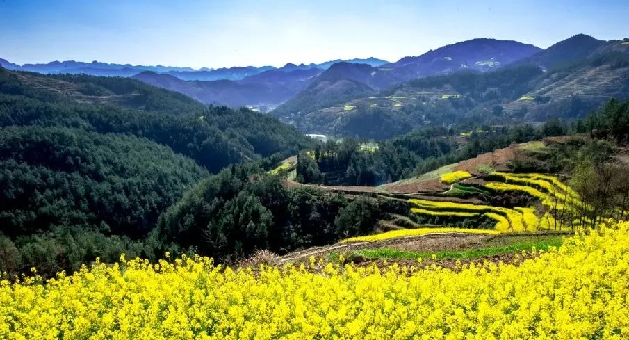 苇岸：清明 第1张