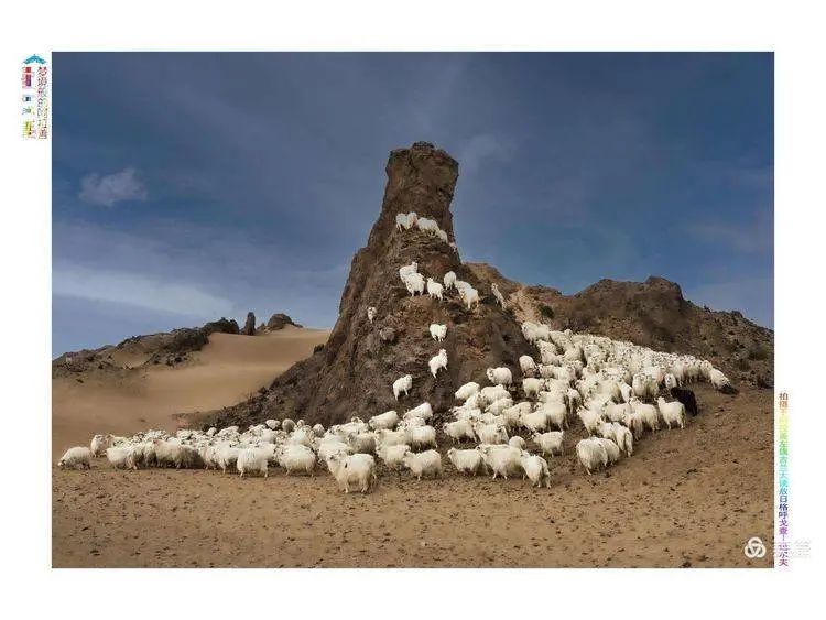 基层文讯 | 阿拉善盟摄影家包尔夫、萨仁图雅个人摄影展开幕！ 第13张
